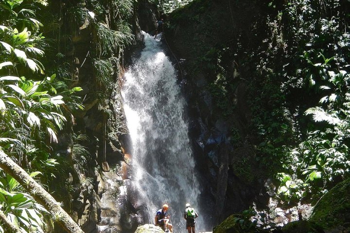 Canopée Forest Adventure