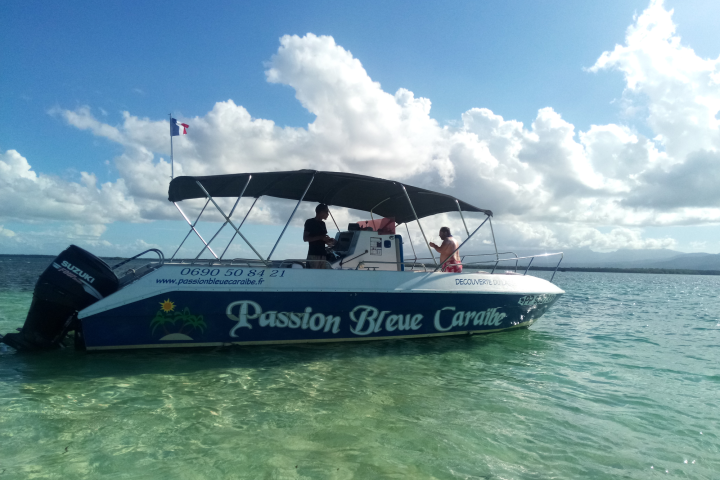 Passion Bleue Caraïbe